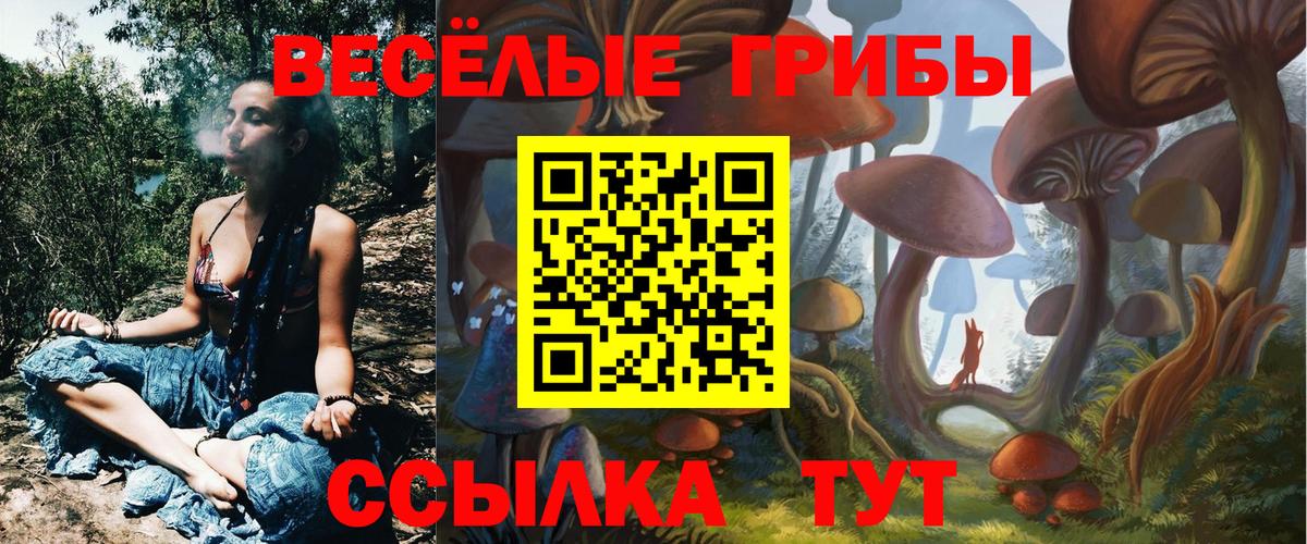 Псилоцибиновые грибы GOLDEN TEACHER Гуково